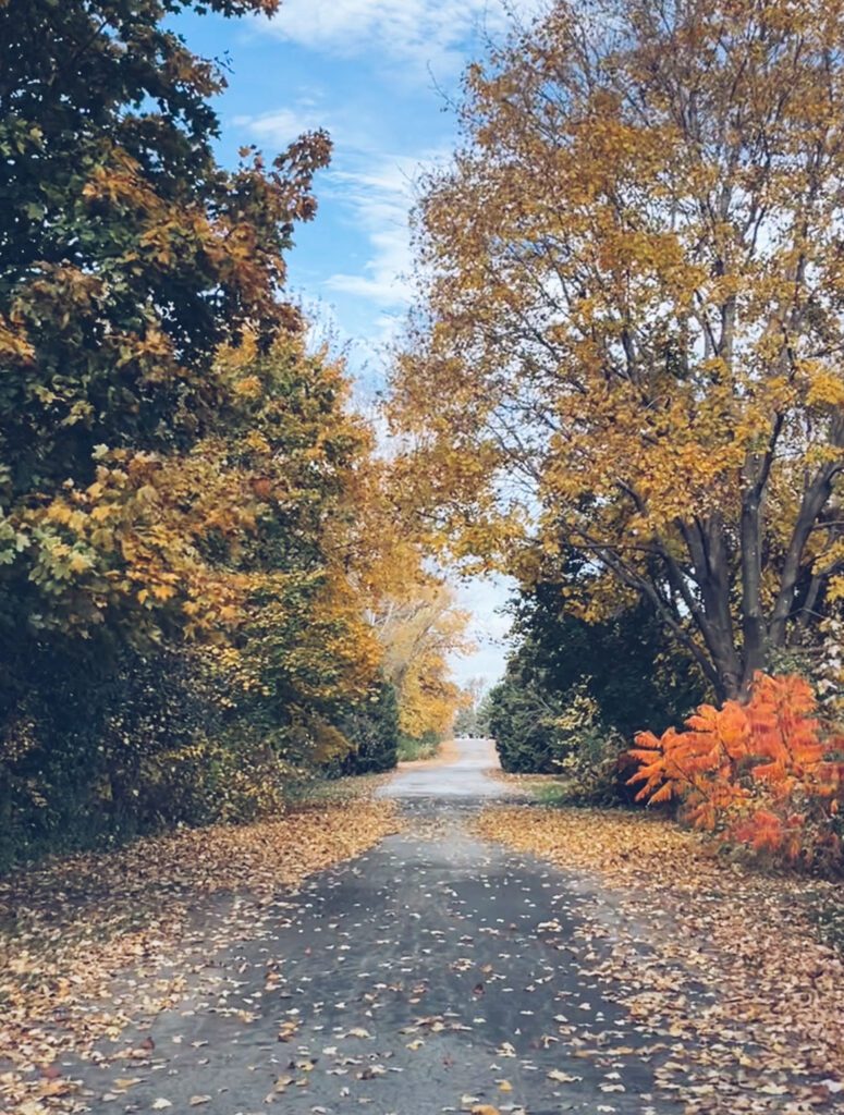 fall walk